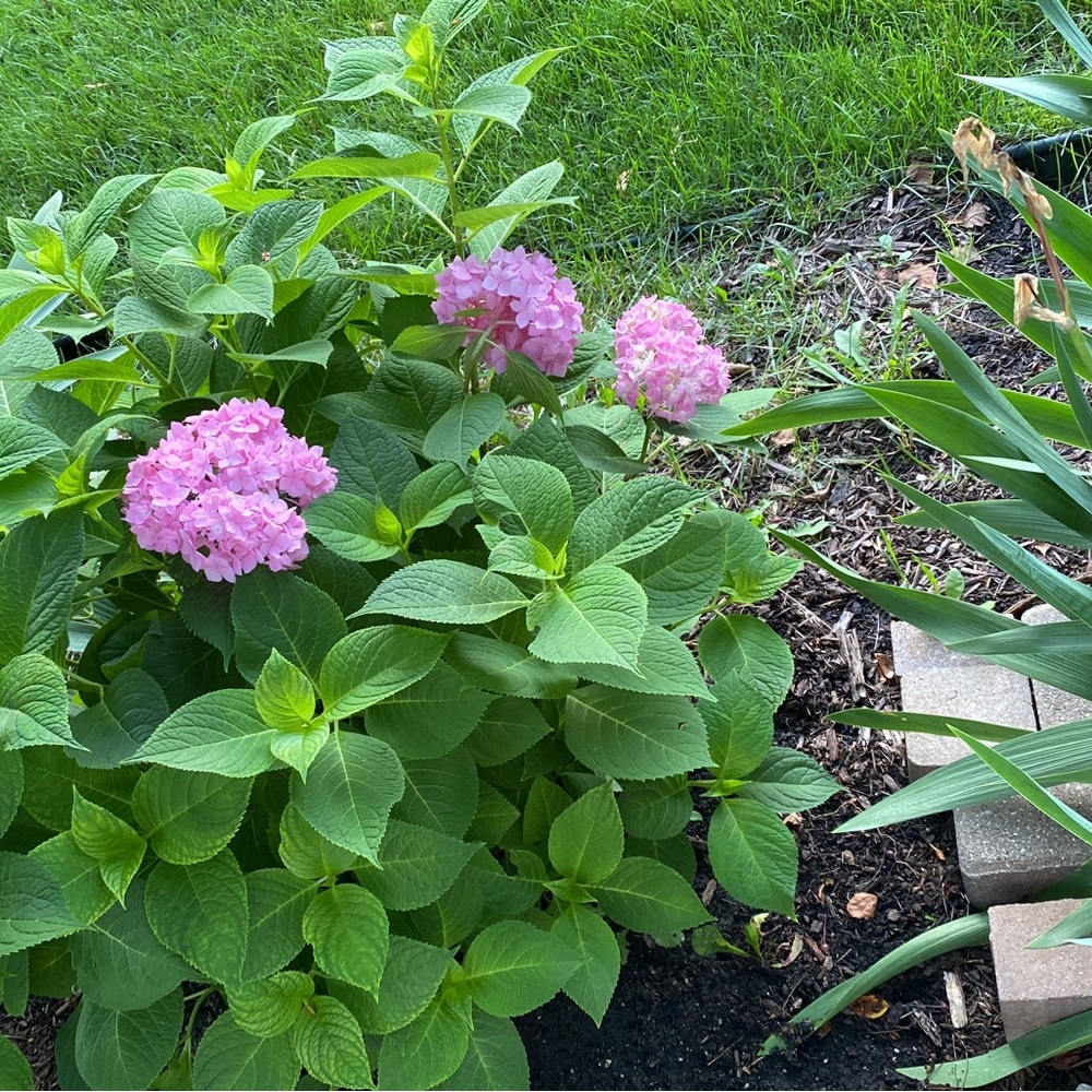 Meet your Posher, Jaishree